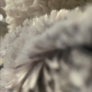 Meet your Posher, Jayla